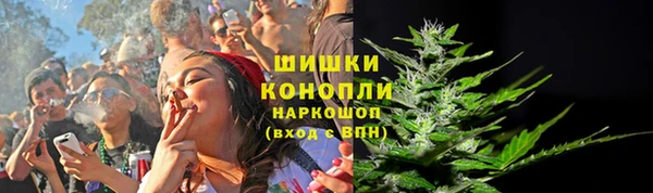 эйфоретик Ветлуга
