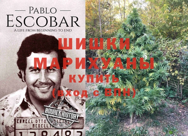 эйфоретик Новозыбков